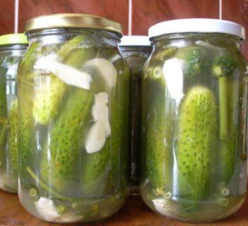 Ogórki kiszone Pyzy