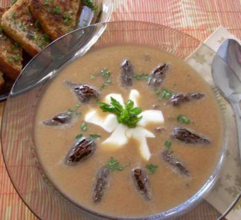 Zupa cebulowa ze smardzami