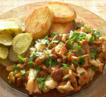 Filet z kurczaka z kurkami i pietruszką