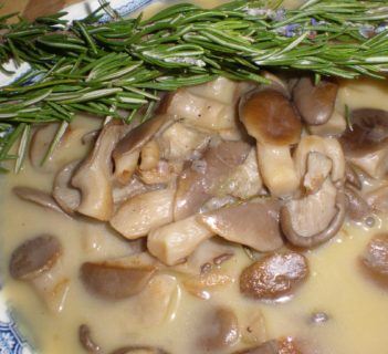 Sos grzybowy z rozmarynem