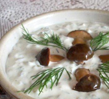 Sos tatarski staropolski