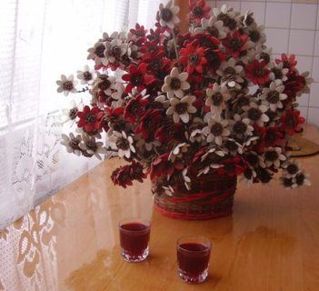 Nalewka z czarnej porzeczki