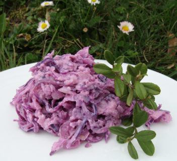 Surówka z czerwonej kapusty