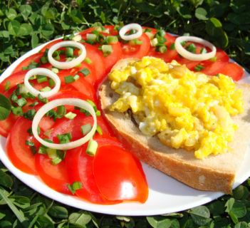 Jajecznica na słonince