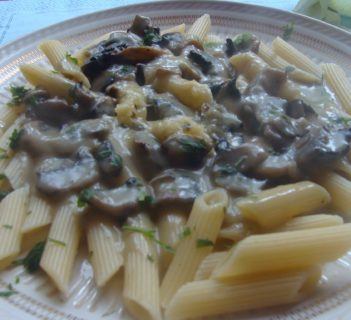 Makaron w sosie pieczarkowo – serowym