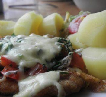 Schabik pod płaszczykiem