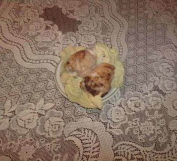 Grillowane roladki drobiowe