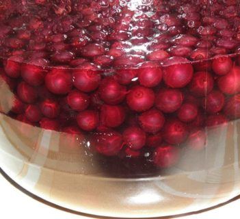 Nalewka z czarnej porzeczki 2