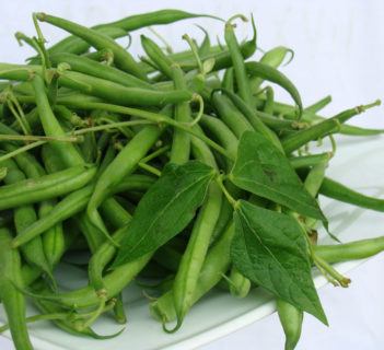Fasolka szparagowa ze słoninką