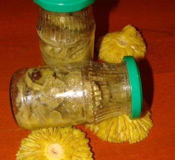 Gąski -zielonki w klarowanym masełku