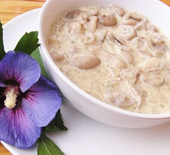 Maślaki w śmietanie