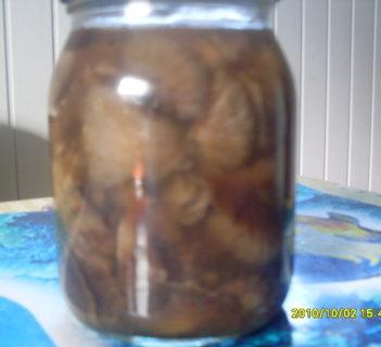 Grzyby marynowane z cynamonem