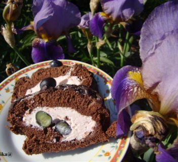 Rolada czekoladowa z borówkami