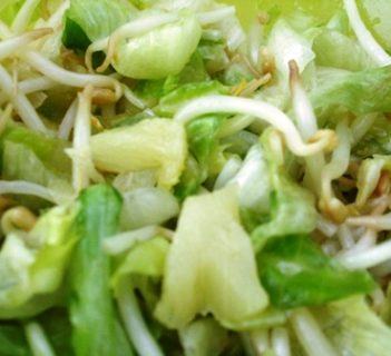 Sałatka z kiełkami