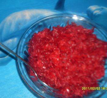 Sałatka z sosem chrzanowym