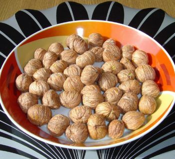 Pieczone Kasztany